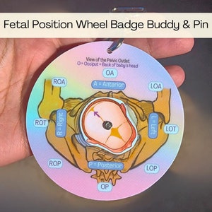 Fetal Position Wheel Badge Buddy & Pin for Vertex Babies | RN, Labor and Delivery, Doula, Nurse, Midwife, Childbirth Educator, New Mom