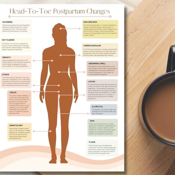 Postpartum Body Changes Handout PDF Printable | Doula, Midwife, New Mom, Nurse Educator, Childbirth Education, Postpartum, Birth, Pregnancy