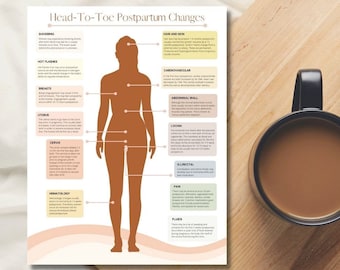 May include: An infographic illustrating the physical changes that can occur in a person's body after childbirth. The infographic shows a silhouette of a person with arrows pointing to different body parts, each with a label describing the changes. The labels include "Shivering", "Hot Flashes", "Hair and Skin", "Cardiovascular", "Breasts", "Abdominal Wall", "Uterus", "Lochia", "Cervix", "Girectal", "Hematology", "Pain", and "Fluids".