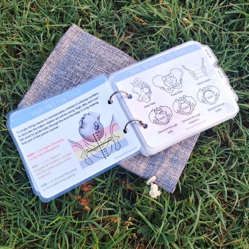 The Labor Positions Pocket Flipbook | Childbirth Education, Doula, Labor and Delivery Nurse, Midwife, RN, New Mom, Pregnancy, Epidural image 9