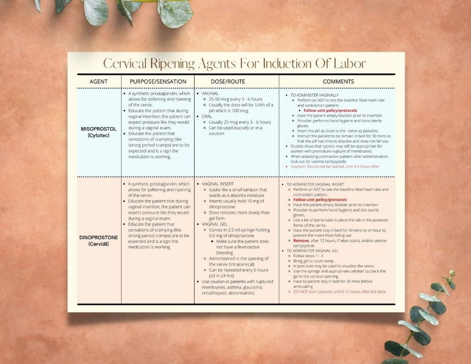 Labor Induction Agents Chart and Bishop Score PDF Printable | Etsy