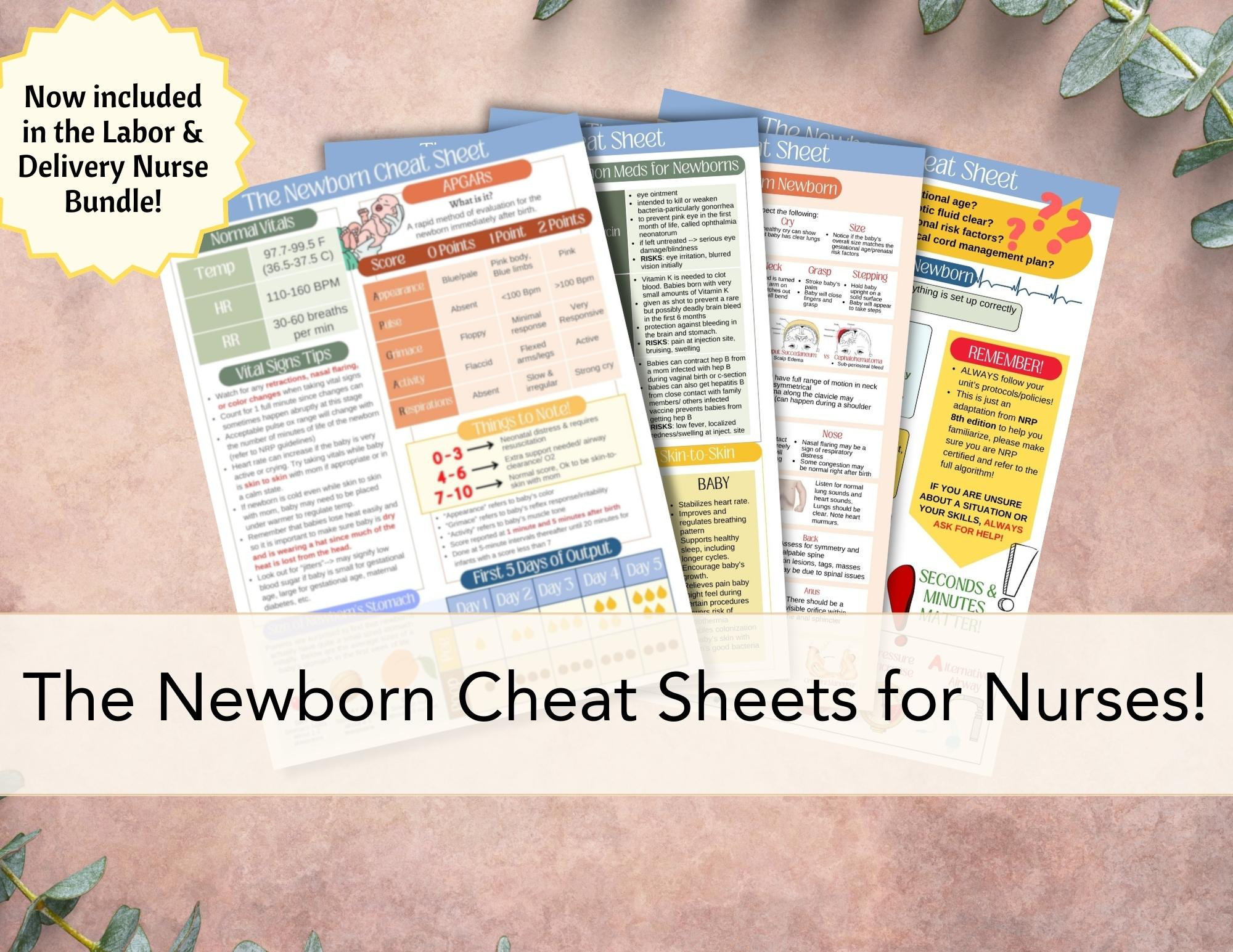 Newborn Cheat Sheet for Nurses PRINTABLE PDF Labor and Delivery, L&D Rn
