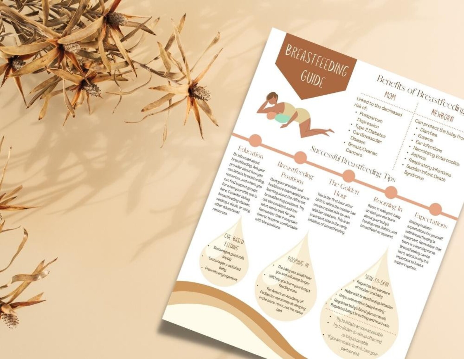 Breastfeeding Education Bundle Printable Handout PDF Lactation, Breast ...