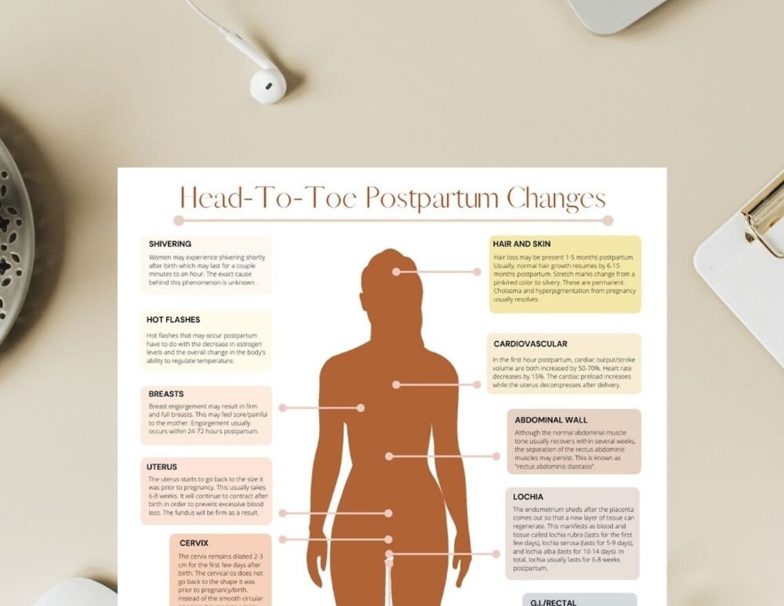 Post Birth Pdf Postpartum Body Changes Handout PDF Printable | Doula, Midwife, New Mom ...