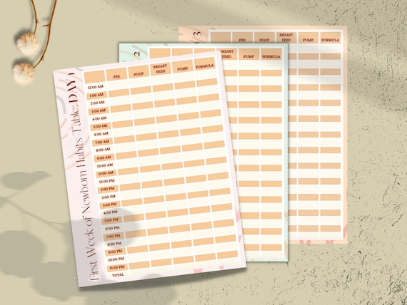 Newborn Care Log Printable PDF | Breastfeeding Log | Infant Daily Log | Newborn Tracker | Baby Planner | First Time Mom