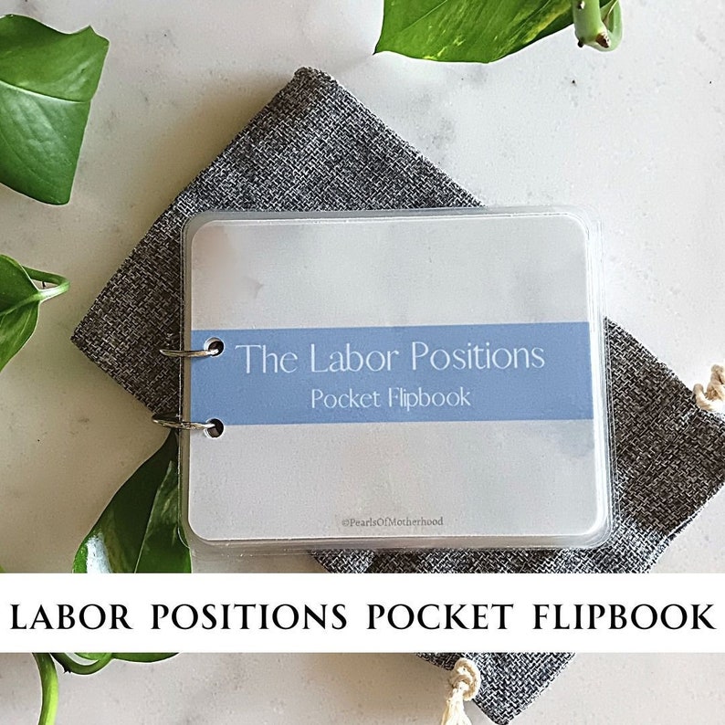 The Labor Positions Pocket Flipbook | Childbirth Education, Doula, Labor and Delivery Nurse, Midwife, RN, New Mom, Pregnancy, Epidural image 1