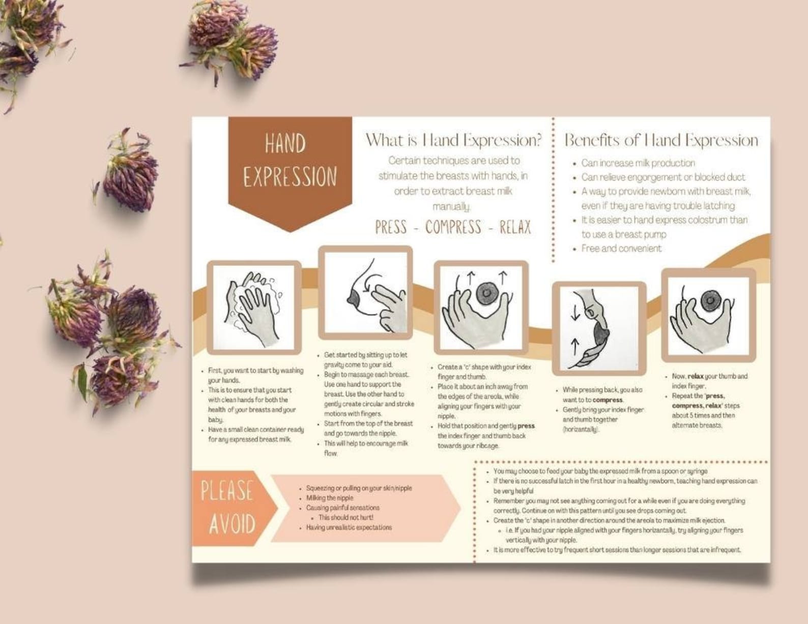 Hand Expression Handout Printable PDF Breastfeeding | Etsy