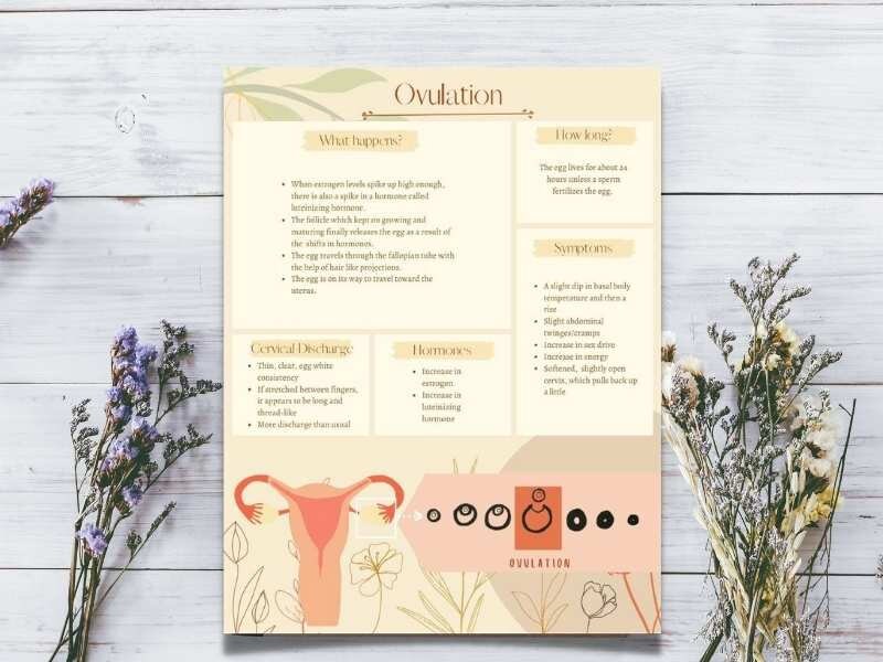 Understanding Your Menstrual Cycle Printable PDF | Period Tracker ...