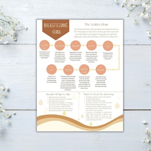 The Golden Hour Handout Printable PDF | Lactation, Doula, Postpartum, Childbirth Education, Midwife, New Mom, Nurse