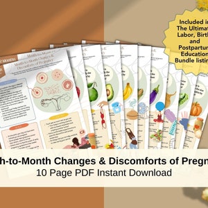 Cambios de mes a mes en el embarazo, el cuerpo y las medidas de comodidad del bebé PDF IMPRIMIBLE / Doula, nueva mamá, trabajadora de partos, educadora de parto