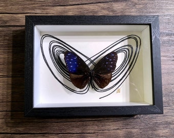 Chaostheorie Etsy