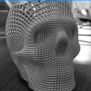Op de afbeelding: Een 3D-geprinte schedel plantenpot gemaakt van wit plastic gaas.