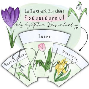 以下が含まれることがあります： デジタルダウンロード。水彩画の春の花のイラスト：紫色のクロッカス、ピンクのチューリップ、黄色のスイセン、白いスノードロップ。テキストは「Legkreis zu den Frühblühern！als digitalen Download」と書かれています。