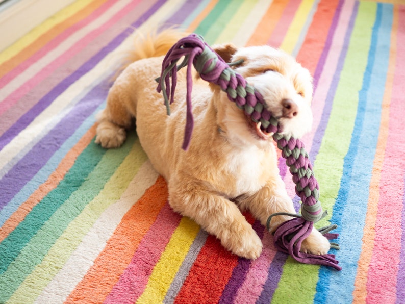 Dog toy Tug of war Handmade with cloth Pet Gift image 9