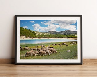 Illustration of a swamp with sheep | Nature | Andalusia | Photo poster