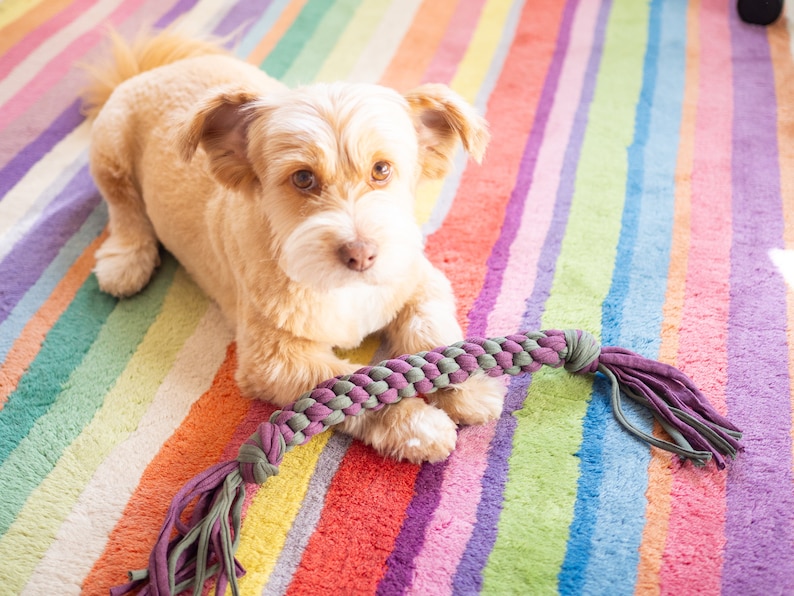 Dog toy Tug of war Handmade with cloth Pet Gift image 10