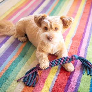 Dog toy Tug of war Handmade with cloth Pet Gift image 1