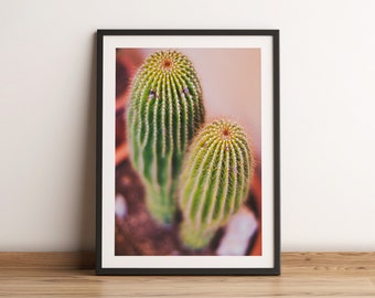 Cactus Photography Print | Photo poster