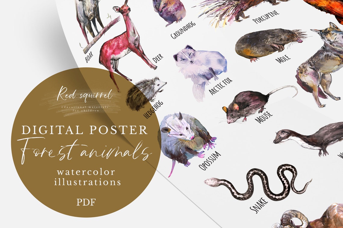 Forest animals poster. Poster for digital download. Learning Etsy