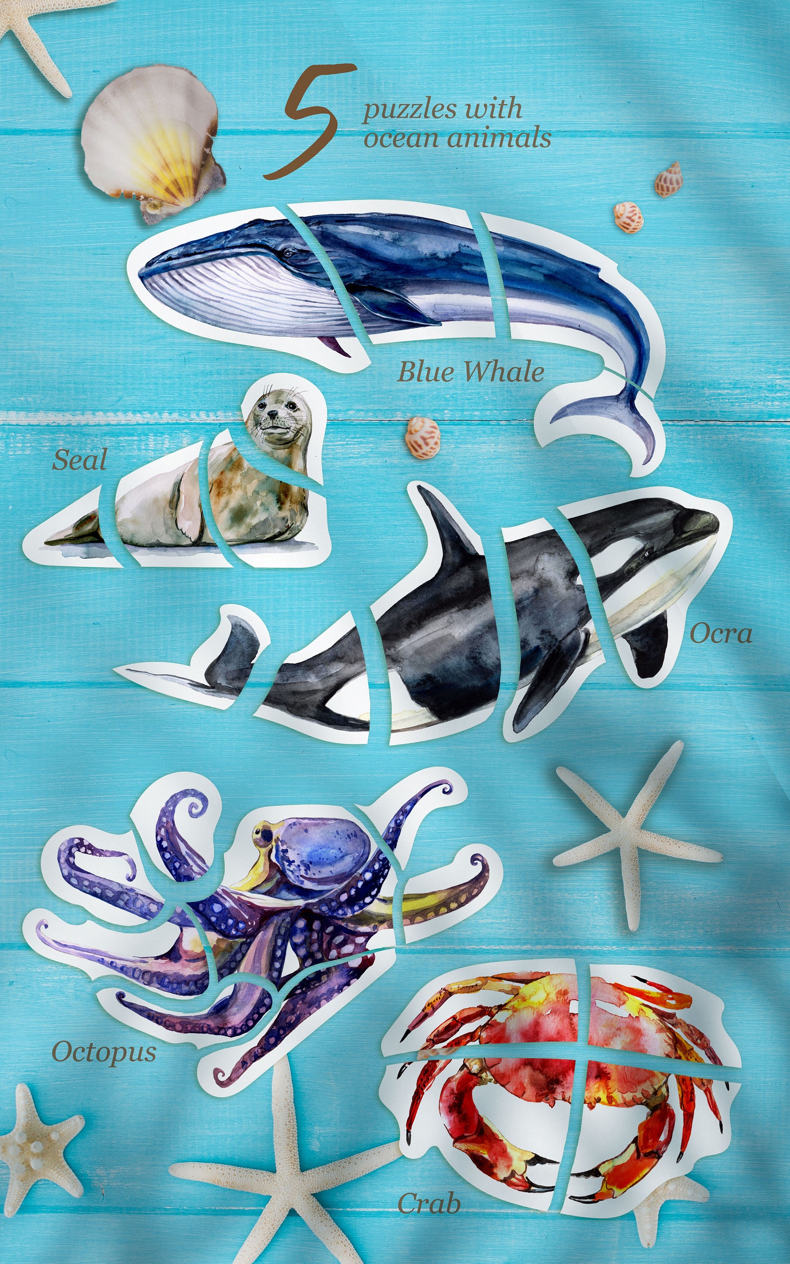 Ocean life learning bundle Toddler Preschool Unit about | Etsy