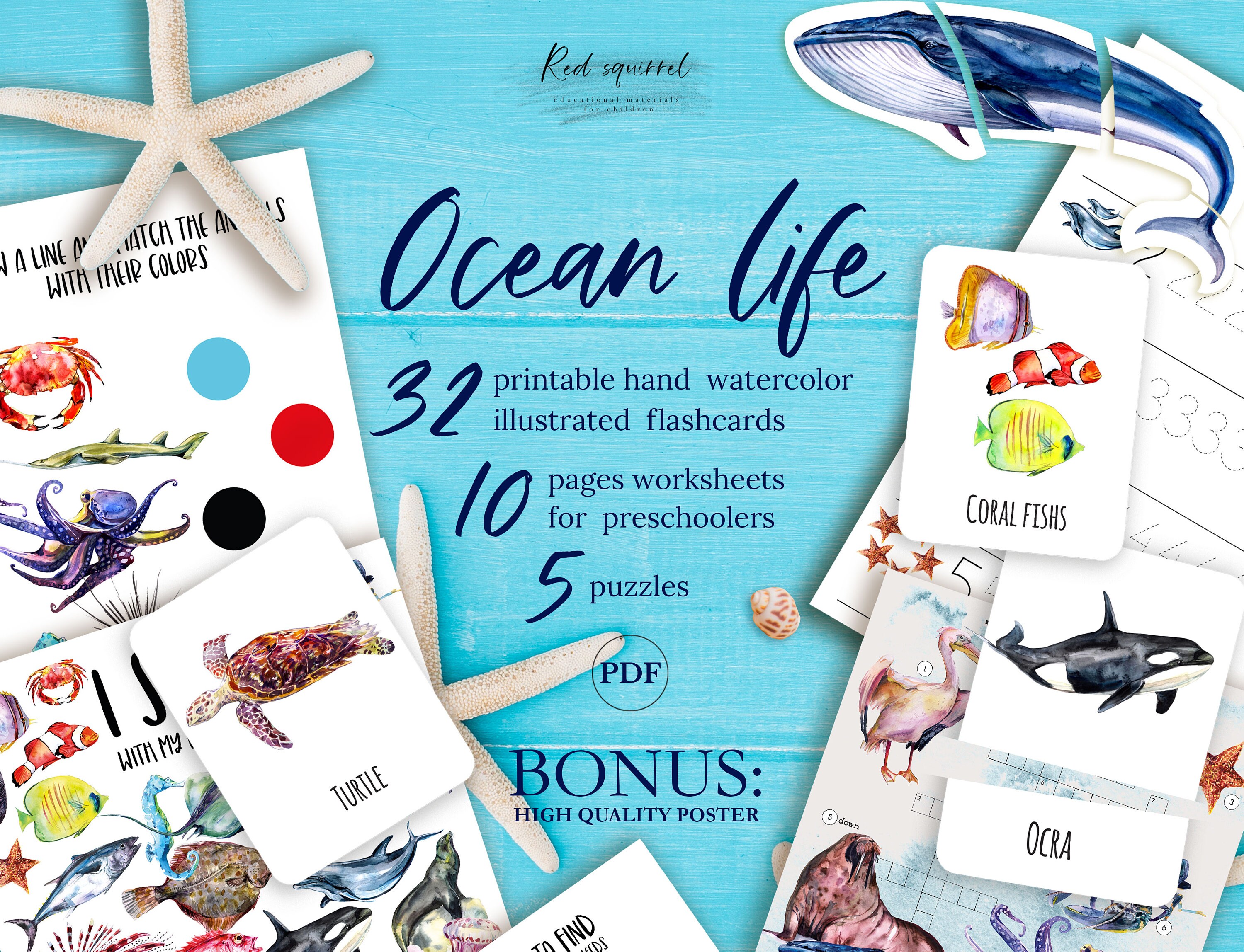 Ocean life learning bundle Toddler Preschool Unit about | Etsy