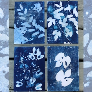 4 Original Cyanotype Prints, Set of Botanical Prints, Cyanotype Wall Art