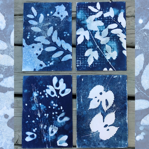 4 Original-Cyanotypie-Drucke, Blau gefärbtes Papier, Set botanischer Drucke, Cyanotypie-Wandkunst