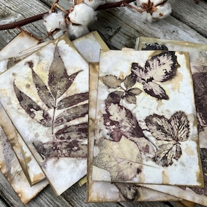 Papel impreso ecológico, Impresión botánica, Papel para scrapbooking, Diseño floral