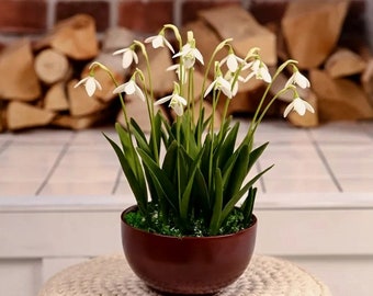 Home & Hobby Floral & Garden Crafts friends Cold porcelain girlfriend