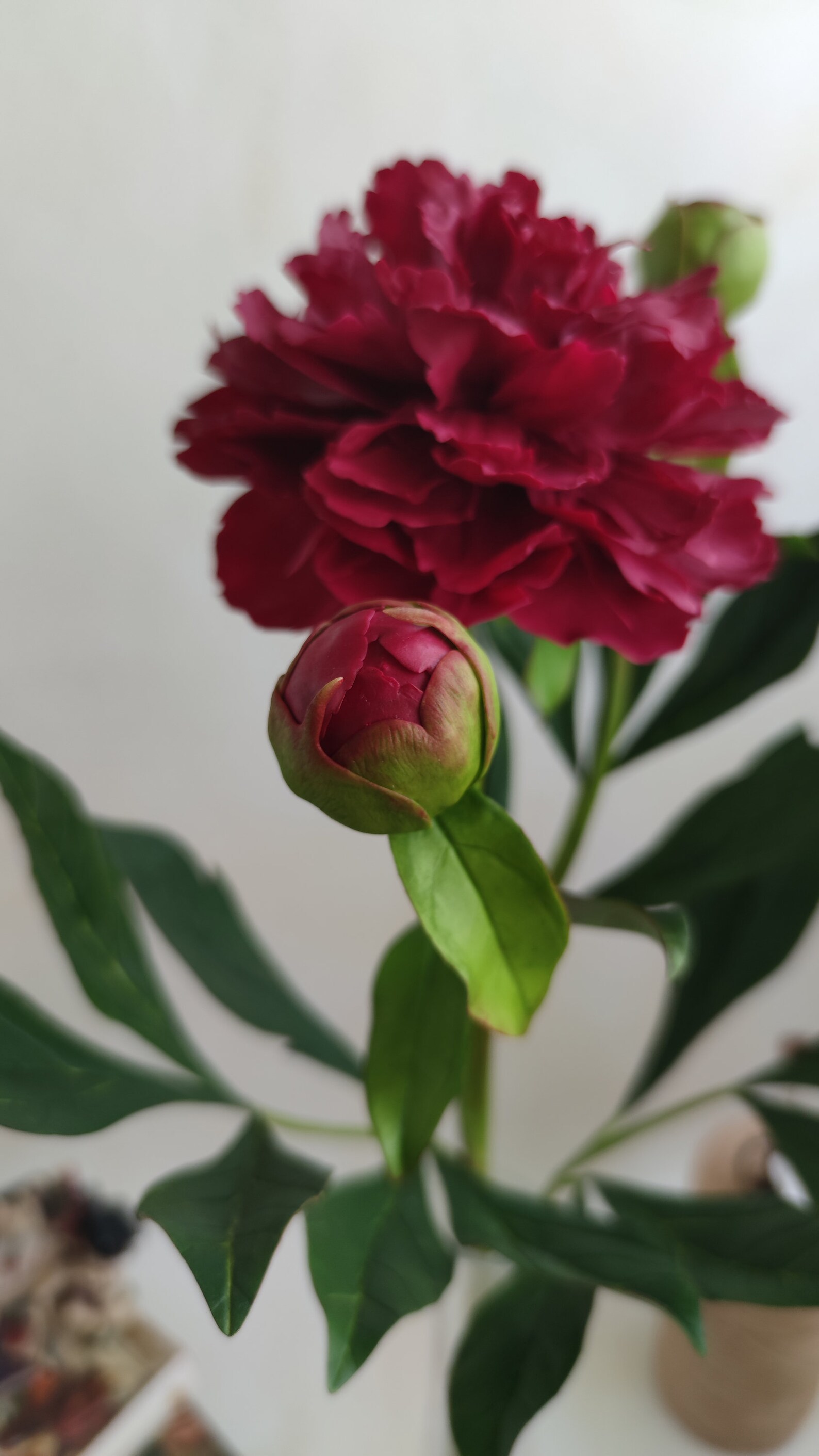 Maroon peony Bouquet peonies Spring floral arrangement | Etsy