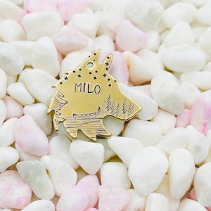 Pet ID Tag, Canoe Adventures dog tag, Arizona, Mountains
