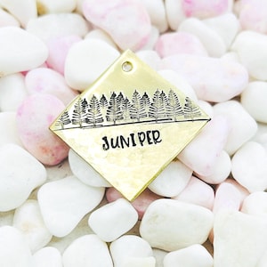 Personalized Dog ID Tag: Juniper Adventure Tag
