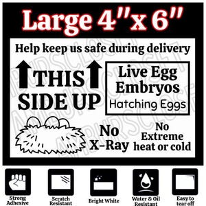 50 PRINTED Live Egg Embryos Labels 4x6 LARGE Stickers Small Business Shipping Supplies Scratch Resistant Hatching Eggs This Side Up