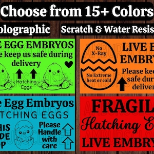 May include: A white ceramic mug with a black handle and the text "But First, Coffee" in a bold, black font. The mug is set against a blurred background, suggesting a cozy setting. The mug appears to be approximately 4 inches tall.