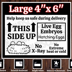 May include: A set of three ceramic mugs with a speckled, matte finish. The mugs are in shades of cream, light gray, and dark gray. Each mug has a simple, minimalist design, perfect for coffee or tea.