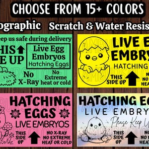 May include: A set of four colorful signs with text and illustrations related to hatching eggs. The signs are in green, yellow, pink, and white, with phrases like "Live Egg Embryos" and "This Side Up". The signs are holographic and water resistant.