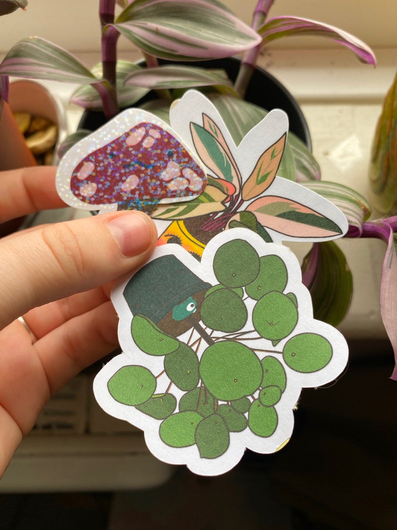 frog sticker frog lover gift mushroom stickers stationary stickers bullet journal stickers Mistake sticker pack notepad stickers