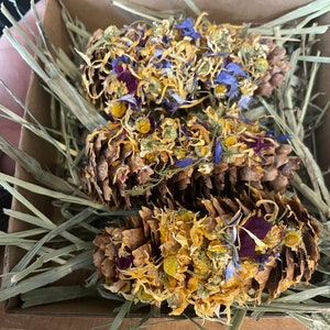 May include: Three pine cones filled with dried flowers, including purple, blue, and yellow flowers. The pine cones are in a box filled with dried grass.