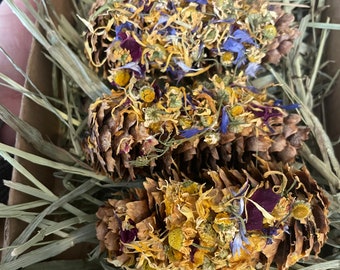 Confetti Pinecone Treat, Organic Mango, Rabbit Guinea Pig Small Pet