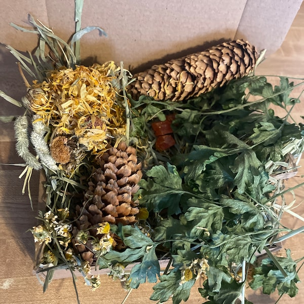 Rabbit Forage Box Organic- All Natural Forage mix/Hay Greens/Herbs Dried Flowers/Pinecones