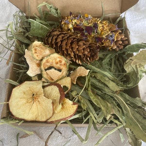 Spring Sampler Rabbit Forage Box Organic- All Natural Forage mix/Hay Greens/Herbs Dried Flowers/Pinecones dried apples/Zucchini