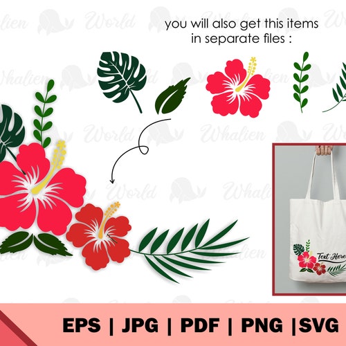 Seashells SVG and Cut Files for Crafters  Etsy Canada