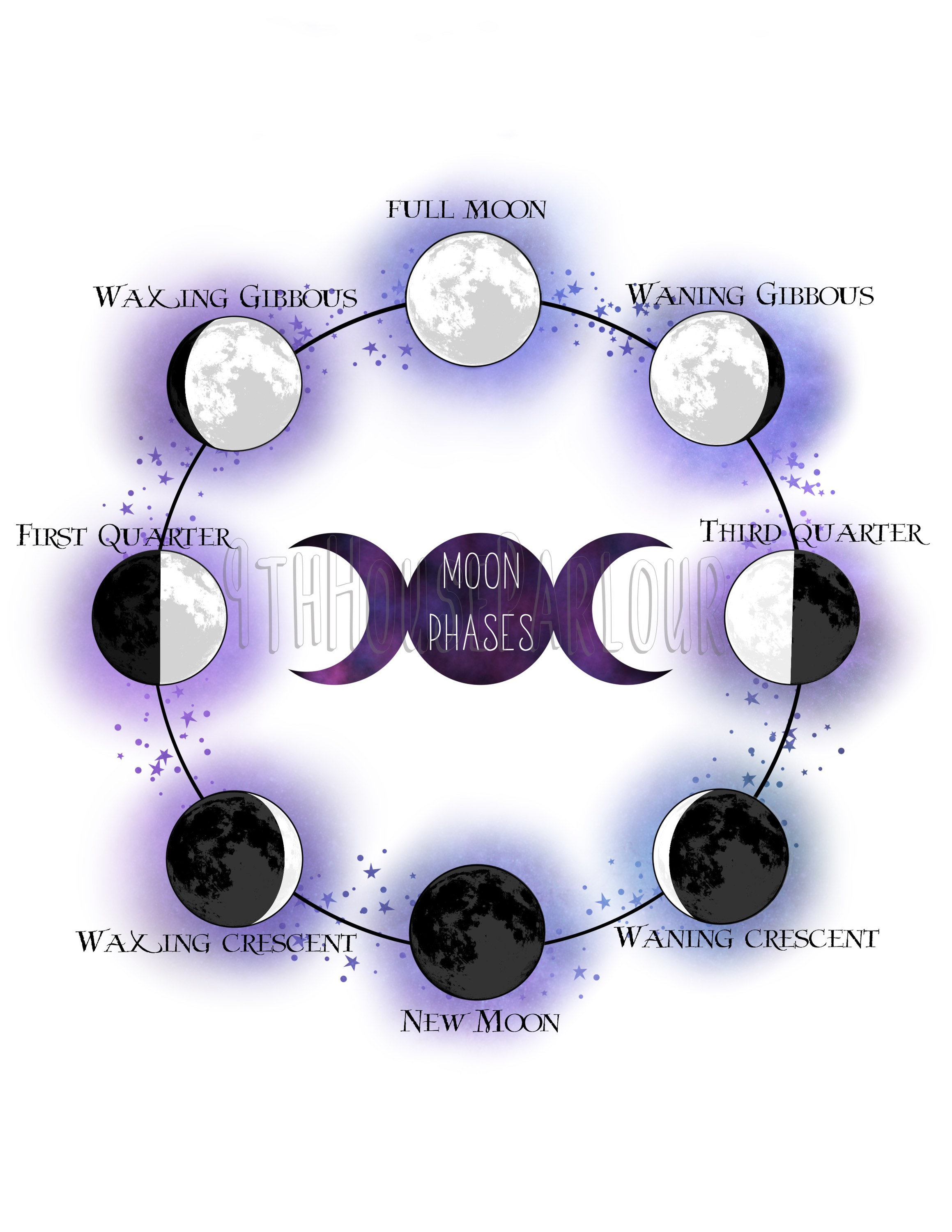 Moon Phases Diagram