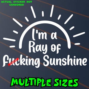 May include: White sticker with a sun design and the text "I'm a Ray of f*cking Sunshine". The word "f*cking" is censored. The sticker also says "Multiple Sizes" in green.