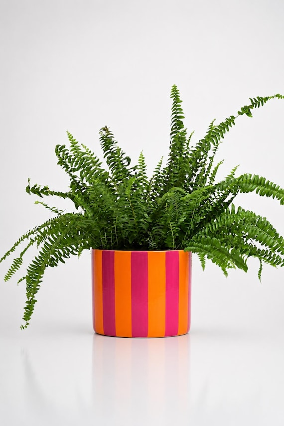 Chunky hand-cast concrete planter with bold art deco stripes — the kind of statement plant pot that looks like it belongs in a design magazine.