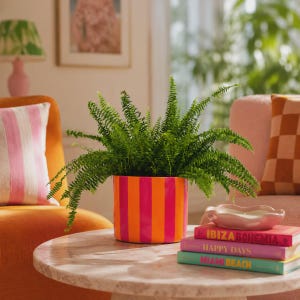 May include: A cylindrical plant pot with vertical hot pink and bright orange stripes containing a lush green fern. The pot sits on a round marble table next to a stack of three books titled Ibiza Bohemia, Happy Days, and Miami Beach.