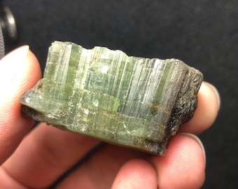 May include: A raw, green tourmaline crystal with a rough, textured surface. The crystal is held in a hand, showcasing its natural, unpolished state. The color ranges from light to dark green, with visible striations.