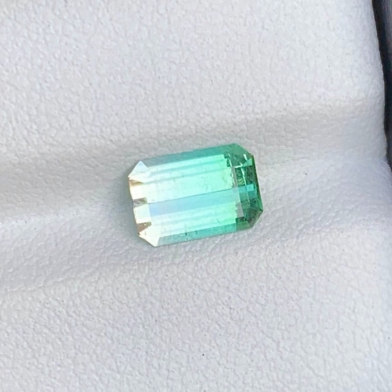 1.30Cts, Lagoon Bicolour Tourmaline.