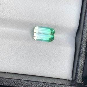 May include: A light green and dark green gemstone with a rectangular shape, set in a white box.