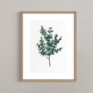 Printable Botanical Art Eucalyptus Poster, Ready to Print